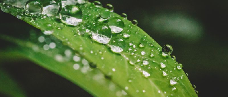 环境影响评价的常用术语介绍